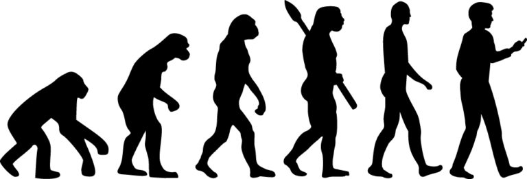 Evolution-768x261