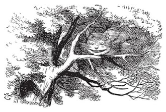 Jack Jones’ Cyber Advice for the Feds: Listen to the Cheshire Cat