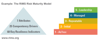 Risk Management Maturity Models: Not a One-size Fits All