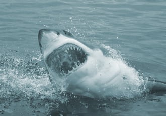A Risk-Based Strategy Against ‘Supra Threat Actors’